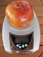 image001.webp