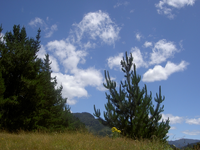Wolken (1).webp