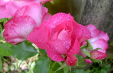 Archiv.webp