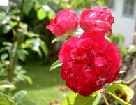 Archiv (1).webp