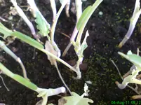 DSC01774.webp