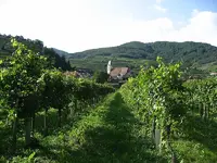 Wachau1.webp
