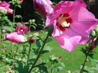 DSC00108.webp