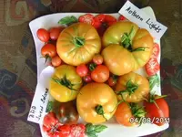 BILD0129.webp
