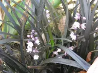 IMG_6241_1067x800.webp