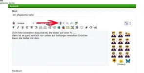 4.webp