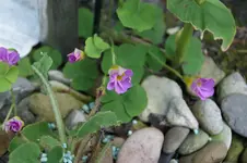 DSC06039.webp