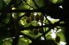 DSC06010.webp