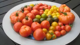 Ausbeute 2011 005.webp