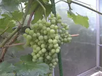 BILD0836.webp