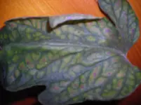 DSCN3098.webp