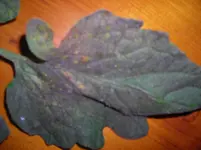 DSCN3099.webp