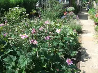 2011_0801070004.webp