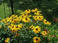 2011_0801070006.webp