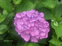 HPIM6628.webp