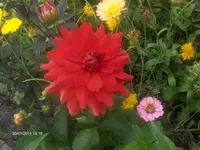 HPIM6632.webp