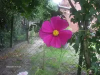 HPIM6636.webp