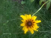 HPIM6642.webp