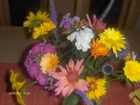 HPIM6645.webp