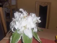 HPIM6646.webp