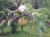 BILD0026.webp