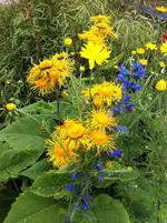 001.webp