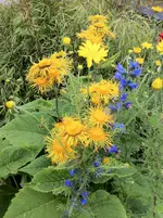 002.webp