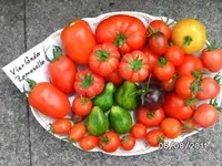 BILD0130.webp