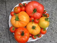 BILD0131.webp