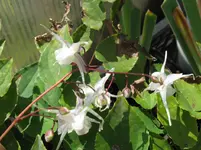 IMG_6293_1067x800.webp