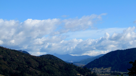 tn_IMG_4850v.webp