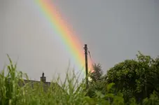 DSC_0317.webp