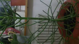 06082011039.webp