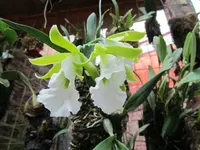 IMG_1271 - Kopie.webp
