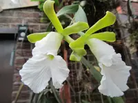 IMG_1272 - Kopie.webp