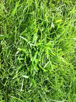 IMG_0374.webp