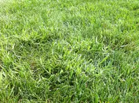 IMG_0376.webp