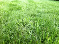 IMG_0375.webp