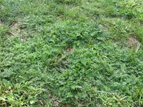 IMG_0379.webp