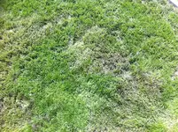 IMG_0147.webp