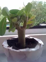 06.08.11 002.webp