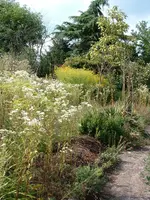 DSCF0006.webp DSCF0006.webp