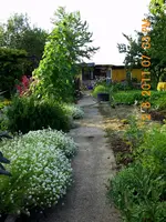 DSCI0036.webp DSCI0036.webp