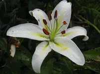IMG_6322_1067x800.webp