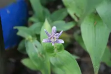 DSC06173.webp