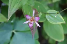 DSC06174.webp