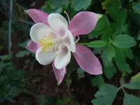 051.webp