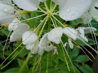018.webp