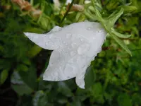 037.webp