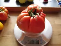 k-Nonna.webp